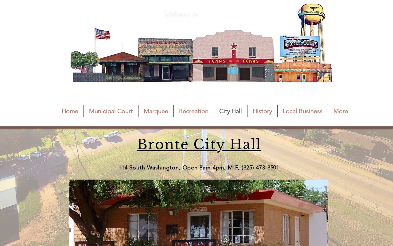 Bronte criminal records official city government channel