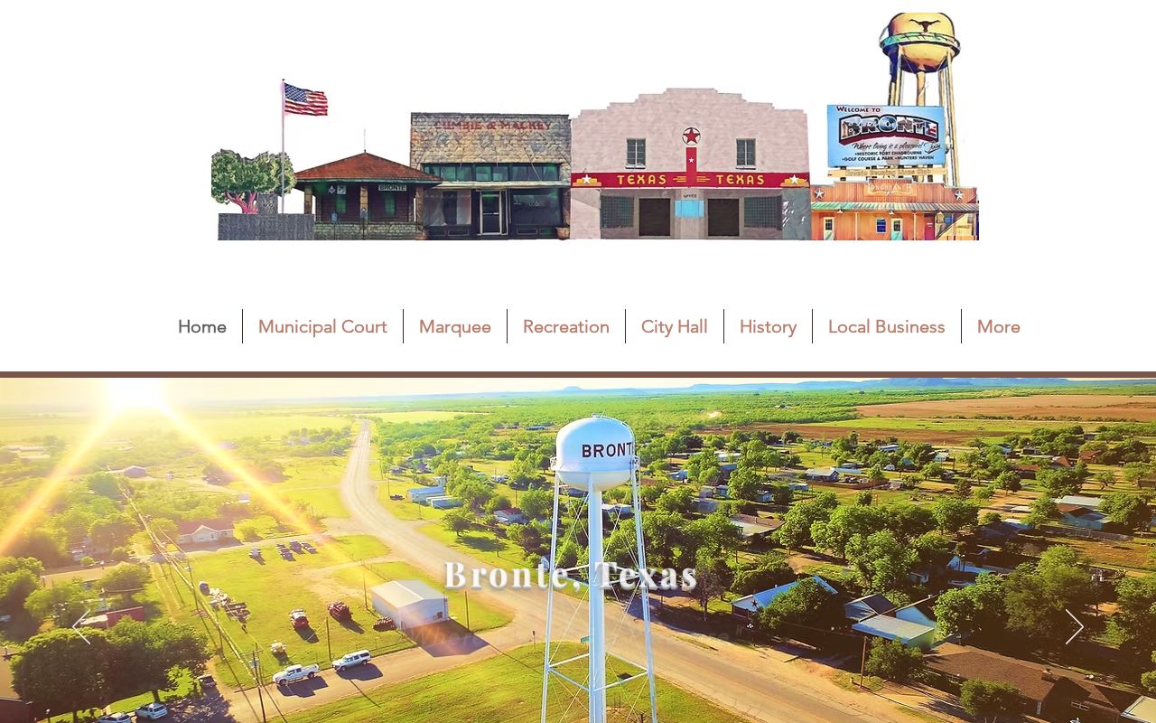 Bronte criminal records official city home page